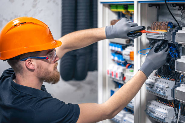 Best Electric Panel Repair  in Schaumburg, IL